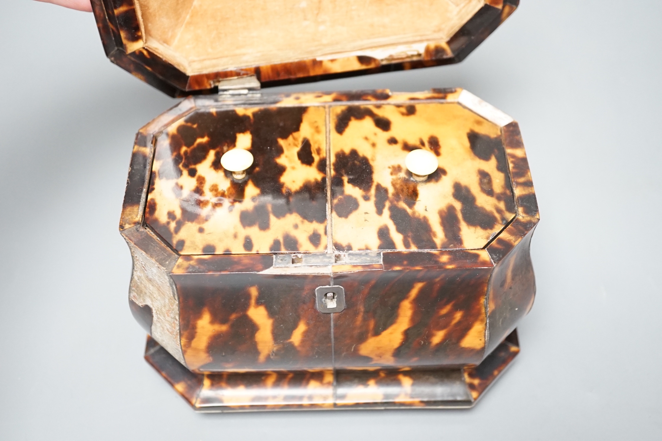 A Regency tortoiseshell bombe shaped two division tea caddy on ivory ball feet (Lid detached, requires restoration) - 18cm wide